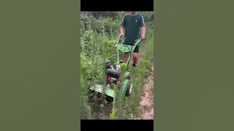 Máy cày xới đất mini máy cắt băm cỏ nông nghiệp máy vun luống rạch rãnh đa năng #automobile #farming