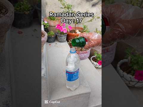 Rose Plant Pest