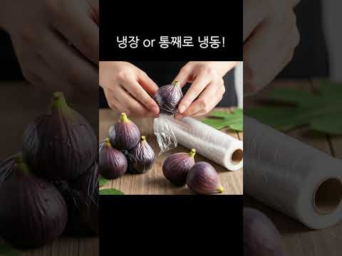 1분 컷 무화과, 곰팡이 없이 뽀송 세척 & 오래 보관 꿀팁! #무화과손질#무화과세척#무화과보관#무화과#과일손질#과일세척#주방꿀팁#살림꿀팁#무화과씻는법#무화과오래보관#무화과냉동보관