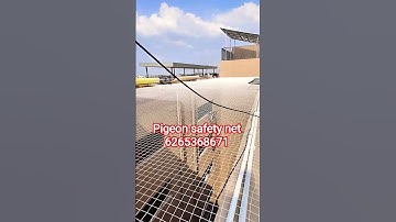kabutar Jali invisible grill children safety net #pigeon #kabutar #birds business pigeon lavar