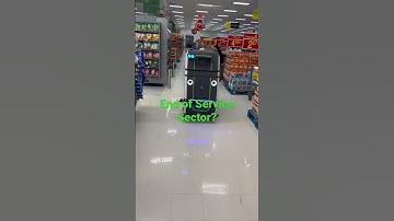 Walmart Cleaning Robot