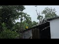 Rain . vlog4