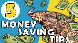 5 Reptile Money Saving Tips!