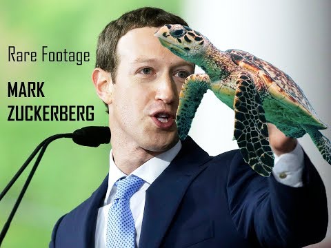 Zucc Meme thing