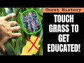 Touch grass to get educated