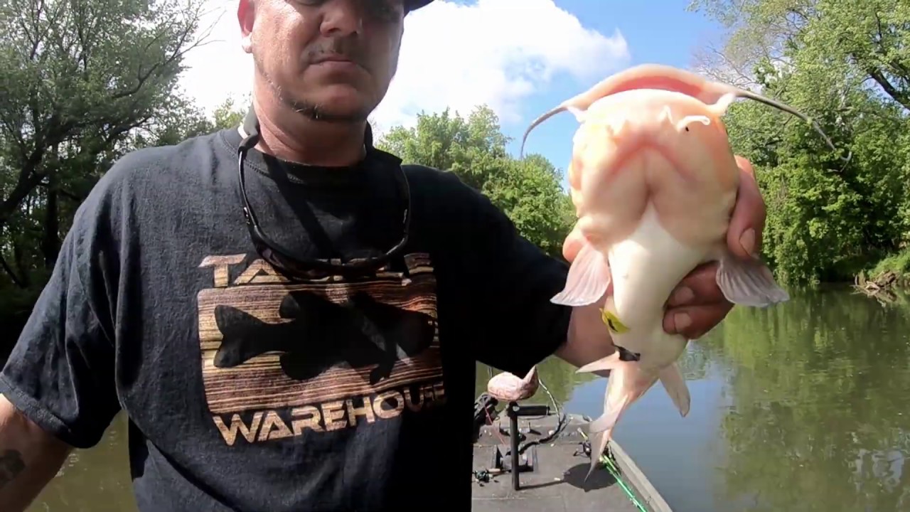 Maryland bass fishing episode 8 - YouTube