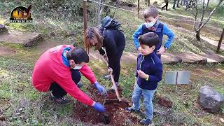 PLANTA UN ÁRBOL