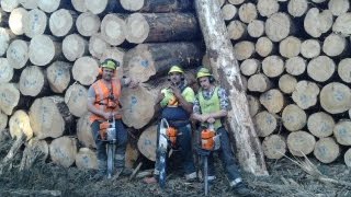 Lance Porter | Pakiri Logging NZ