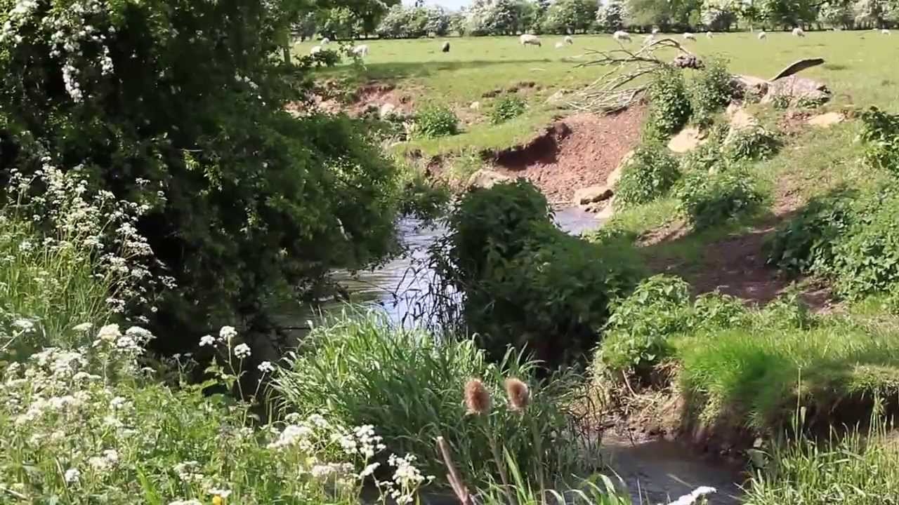 Piddle Brook a peaceful bubbling stream YouTube