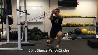 Celebrity Resilient Performance PT - Split Stance Pallof Circles Profile