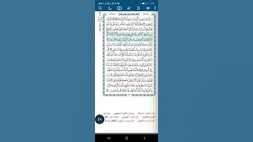 سورة الأنعام آية(٣٨)