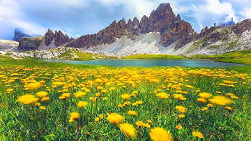 مع الطبيعة الساحرة🌸🌷 عبد الرحمن الماجد-سورة الفاتحة و آيات الرزق 🌹 مكررة 3مرات رقية قوية بإذن الله😇🥰