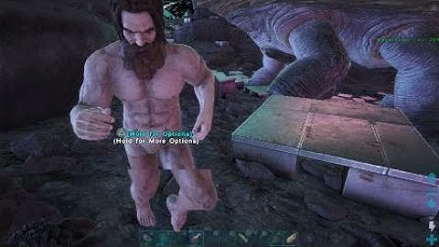 IIIIIIIIIIIII Raid Highlight (Tek Shield Down)