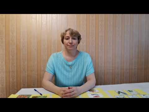 Окружающий мир. Правила поведения в лесу