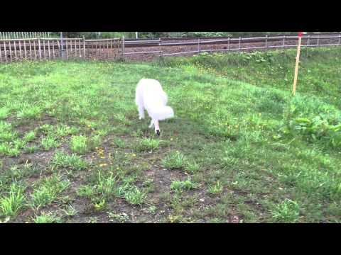 IMG 22721