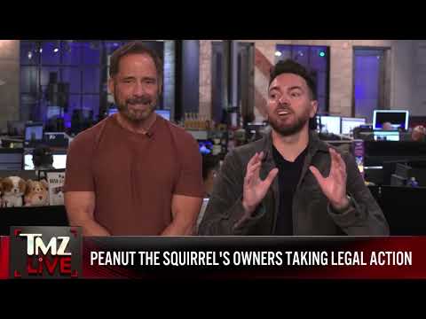 Peanut the Squirrel's
