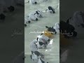وتشاء انت من البشائر قطرة ويشاء ربك أن يناولك القمر