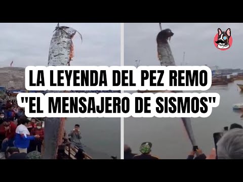 EL PEZ REMO,