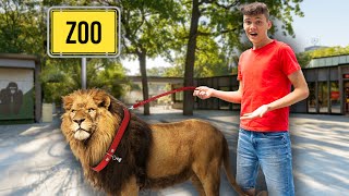 EIGENES TIER in ZOO geschmuggelt! screenshot 5