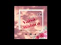 Valsa Maluca - Primeiro Remix Janeiro-2021