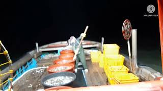 Servisu Peskas Kaer Boek Iha Korea Nia Lalaok Mak Nune