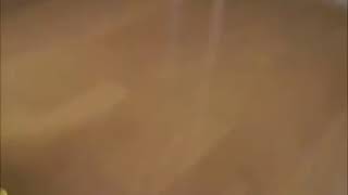 Lawak kucing gemuk dan kotak