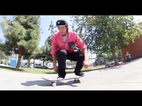 WTF?! 360 Dolphin