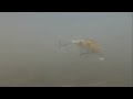 HMG Lures SilentASSASIN video