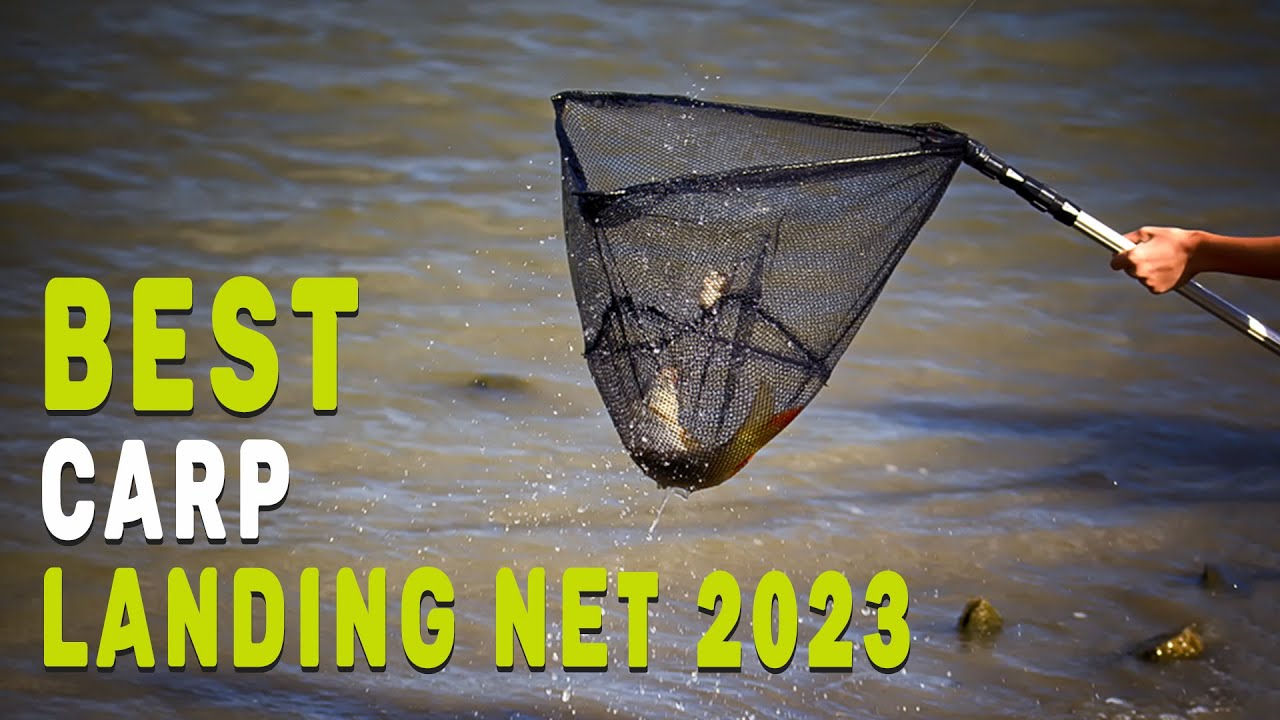 Best Carp Landing Net in 2023 - The Ultimate Guide 