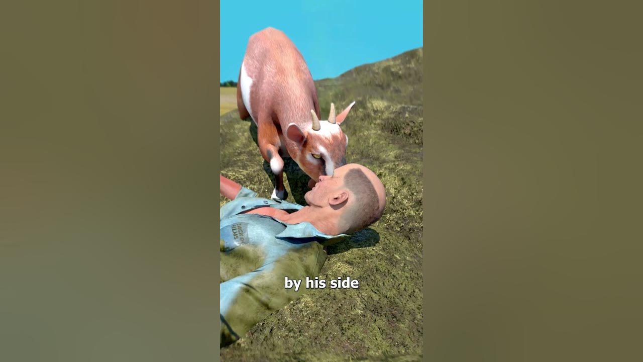 Buried In Manure And Saved By A Goat 😮