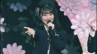 10nen Zakura (10年桜) - AKB48 Spring Concert