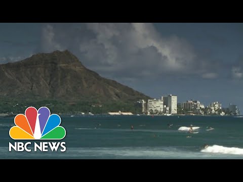 Dangerous Sea Life Encounters Increase For boaters And Swimmers