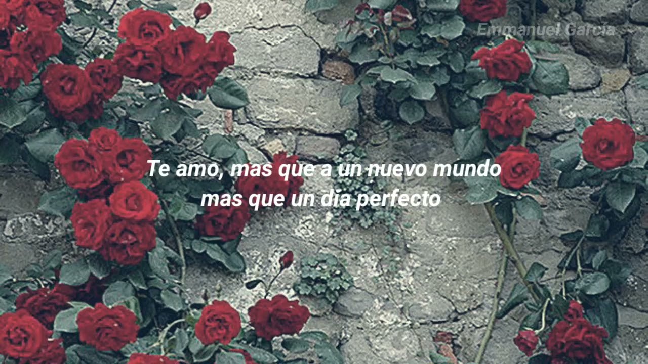 Alexander Acha Te Amo (HQ Audio) YouTube