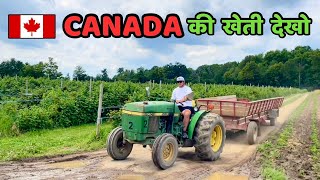 कनाडा में खेती 😳🇨🇦 Canada farming |  Downey's Farm Market | Canadian Vlogger | Vlog 16