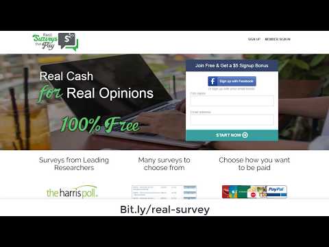 real-surveys-that-pay-–-review-&-tips-–-5$-bonus