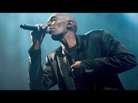 Maxi Jazz Tribute Compilation Mix/The Best of Faithless