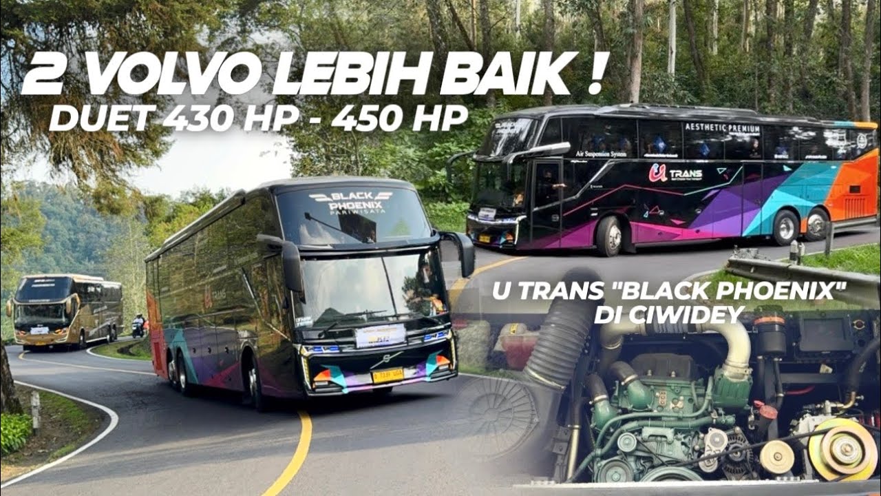 MOMENT LANGKA 2 UNIT BUS TRONTON MAIN KE CIWIDEY🔥Ngoyod Utrans 