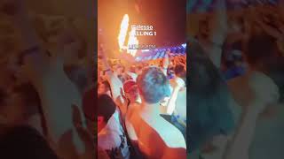 Alesso live at worlddjfestival 2025 #alesso #worlddjfestival #korea #festival #fireworks #music