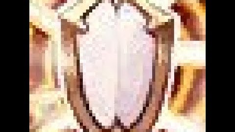 Discipline Priest - Night Fae - Mythic Plus Dungeons