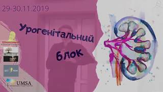 картинка: Великі ниркові синдроми  Гостра та  хронічна ниркова недостатність  Нефротичний синдром