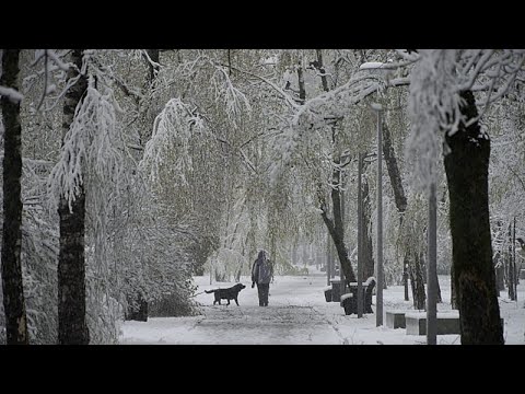 ����� ����� ����� �� ������ ���� ����� ����� ���� ������ ������ ������
 - نشر قبل 7 دقيقة