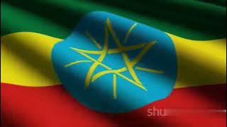 The Tragic End of Bate Urgessa: A Political Assassination in Ethiopia | Analysis & Insights