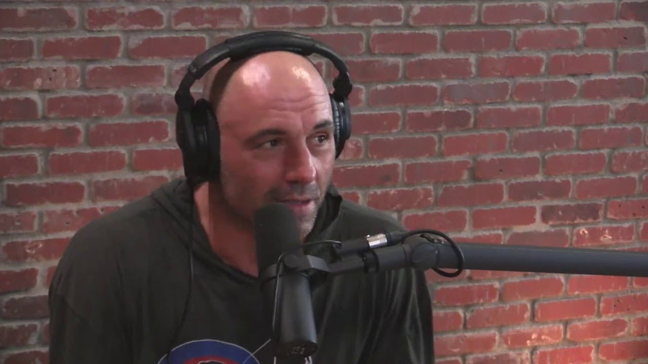 Joe Rogan on New Fear Factor w/Ludacris, Tyrese vs. The Rock Feud YouTube