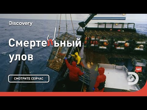 Видео: Все или ничего! | Смертельный улов | Discovery
