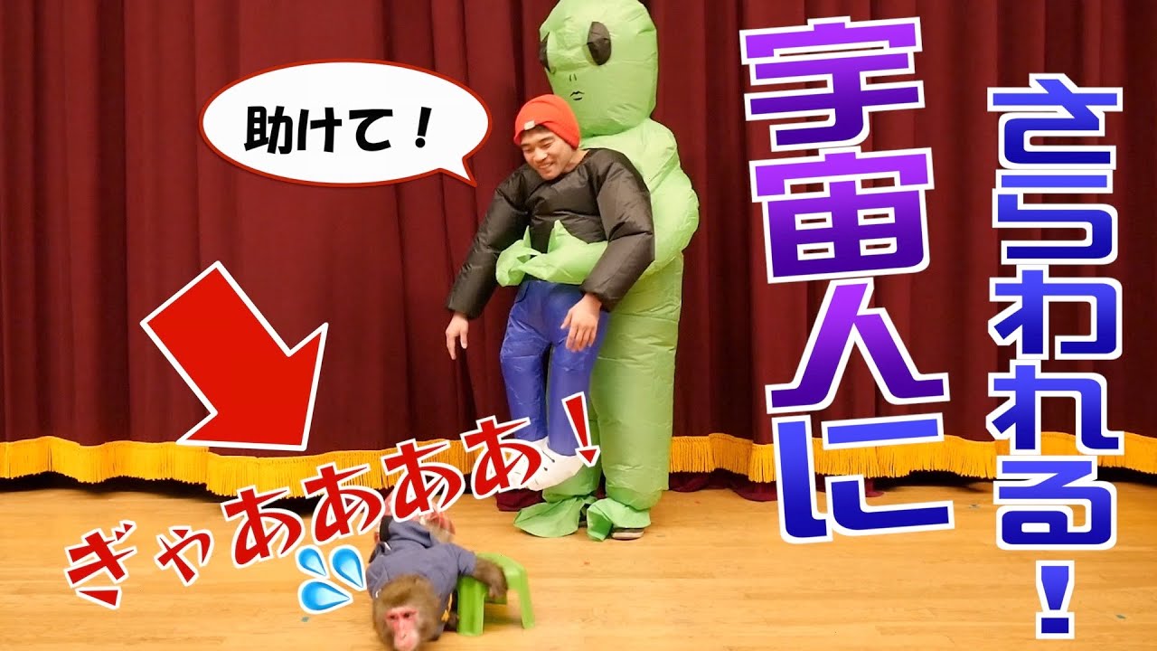 【腰抜かしたw】飼い主が宇宙人に連れ去られそうになったら、お猿さんはどうする！？