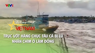 Trục vớt hàng chục tàu cá bị lũ nhấn chìm ở Lâm Đồng | Cụm tin | VTV Times