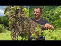 Collecting Homemade Village Honey And Cooking Stewed Chicken With Pasta