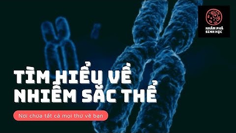 NHIỄM SẮC THỂ - Nơi chứa tất cả về bạn | Khám Phá Sinh Học