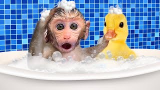 Bebé Mono BonBon Nadando Con un Lindo Patito en la Casa y Comiendo Sandía  MONO BONBON ESP