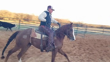 Hottish Hattie - Ranch Sorting